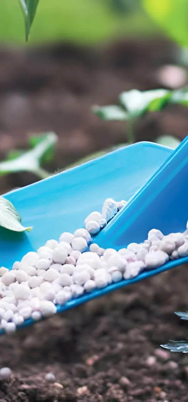 Chemicals and Fertilizers